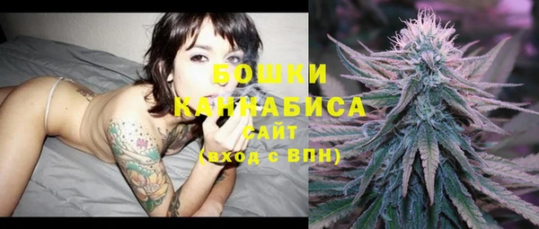 мет Бородино
