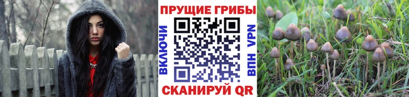 Галлюциногенные грибы Magic Shrooms  MEGA как войти  Можайск 