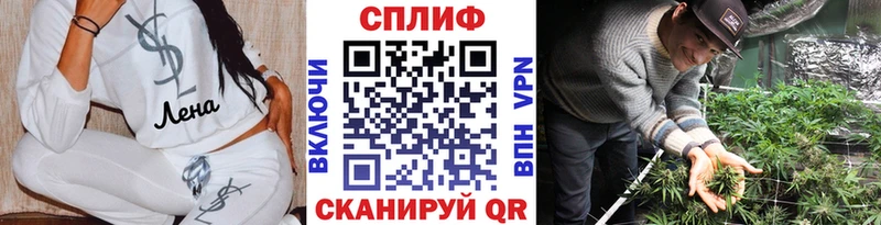 Конопля планчик Можайск